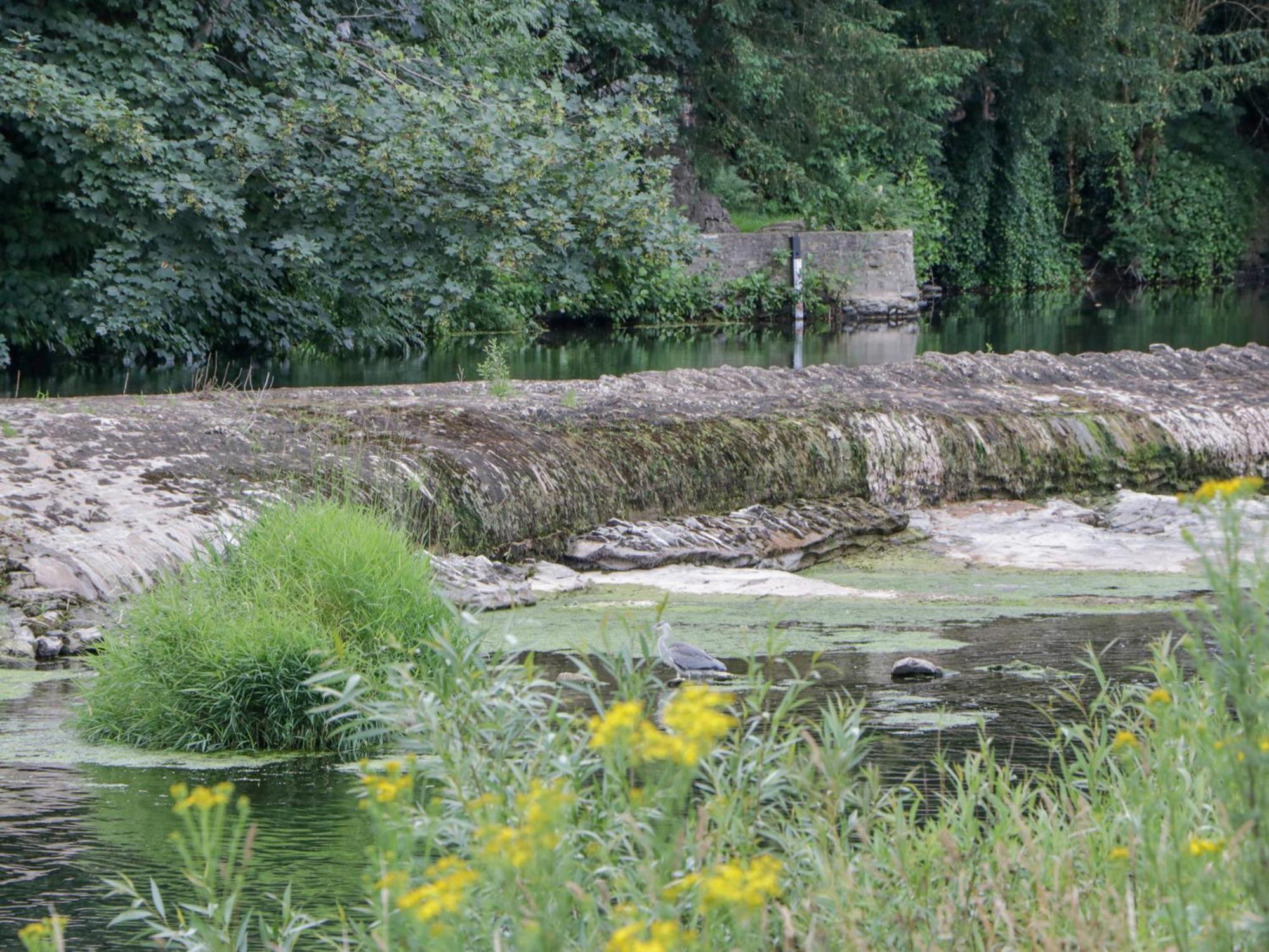 Kingfisher Holiday home